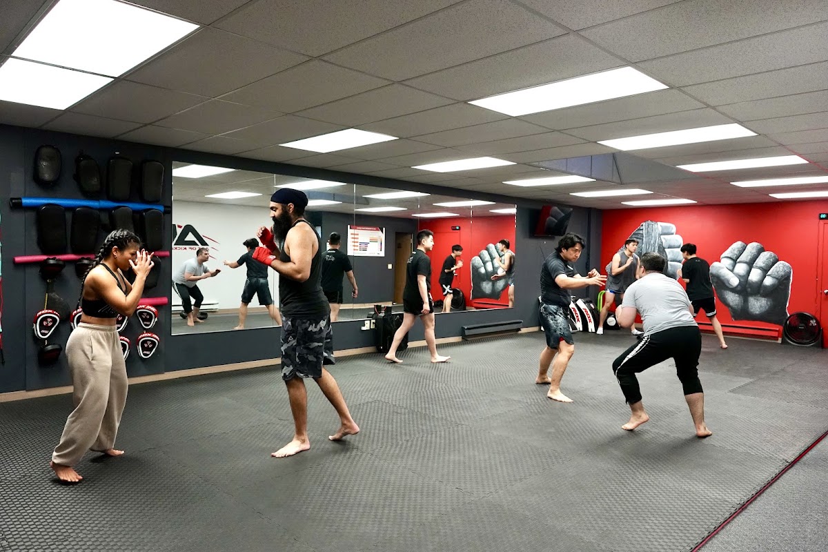 Art of Kickboxing