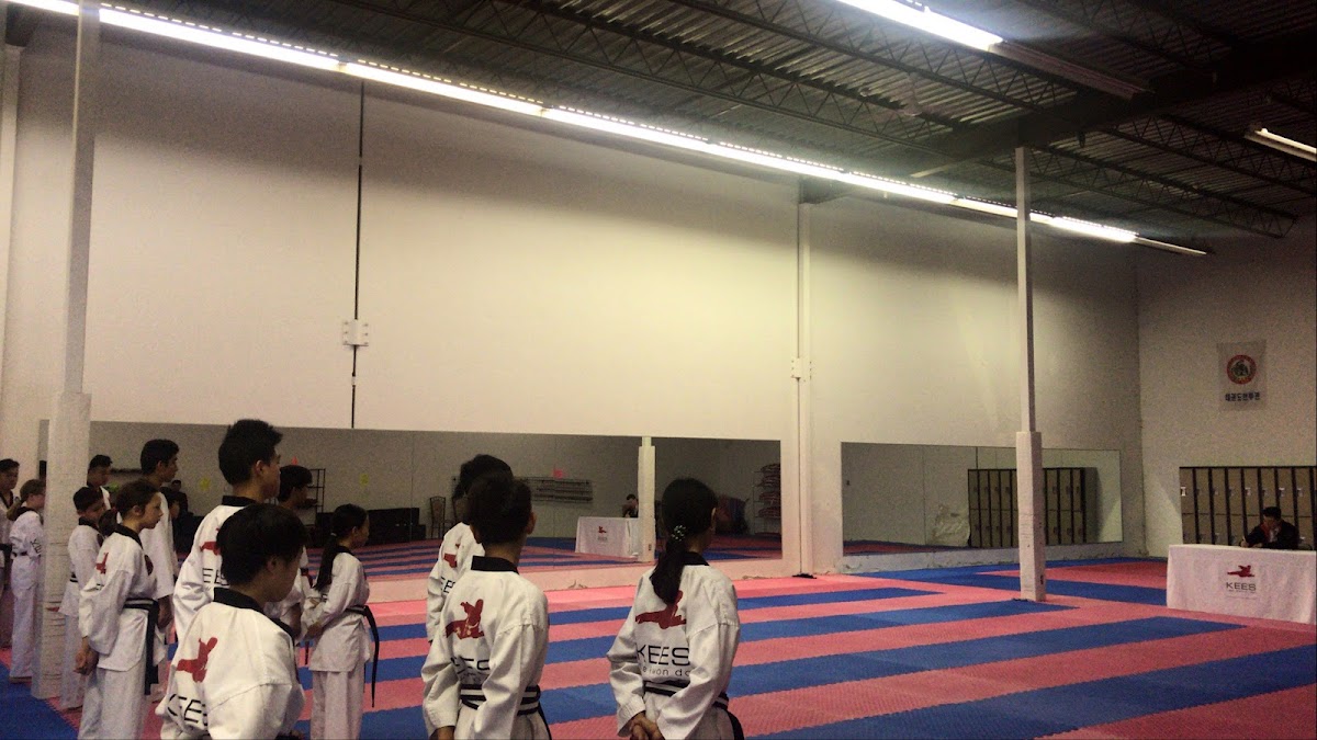KEES Tae Kwon Do Richmond