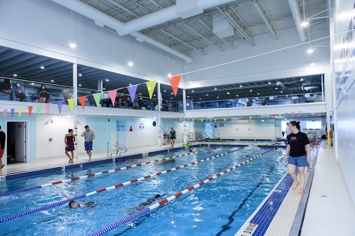 Marina's Swim School