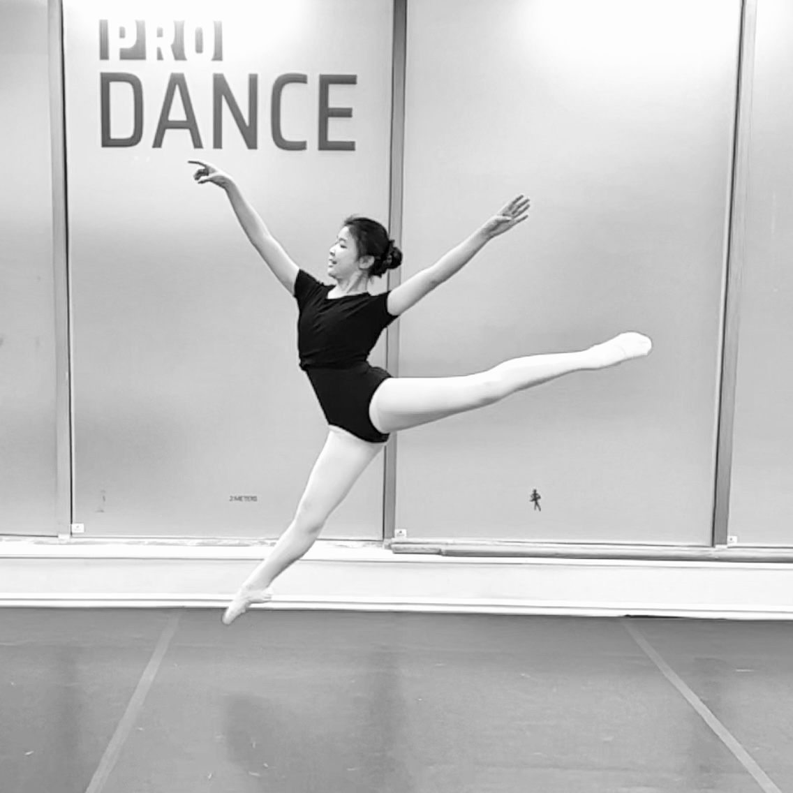 Pro Dance