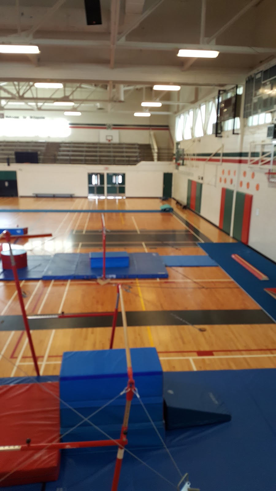 Britannia Gymnastics