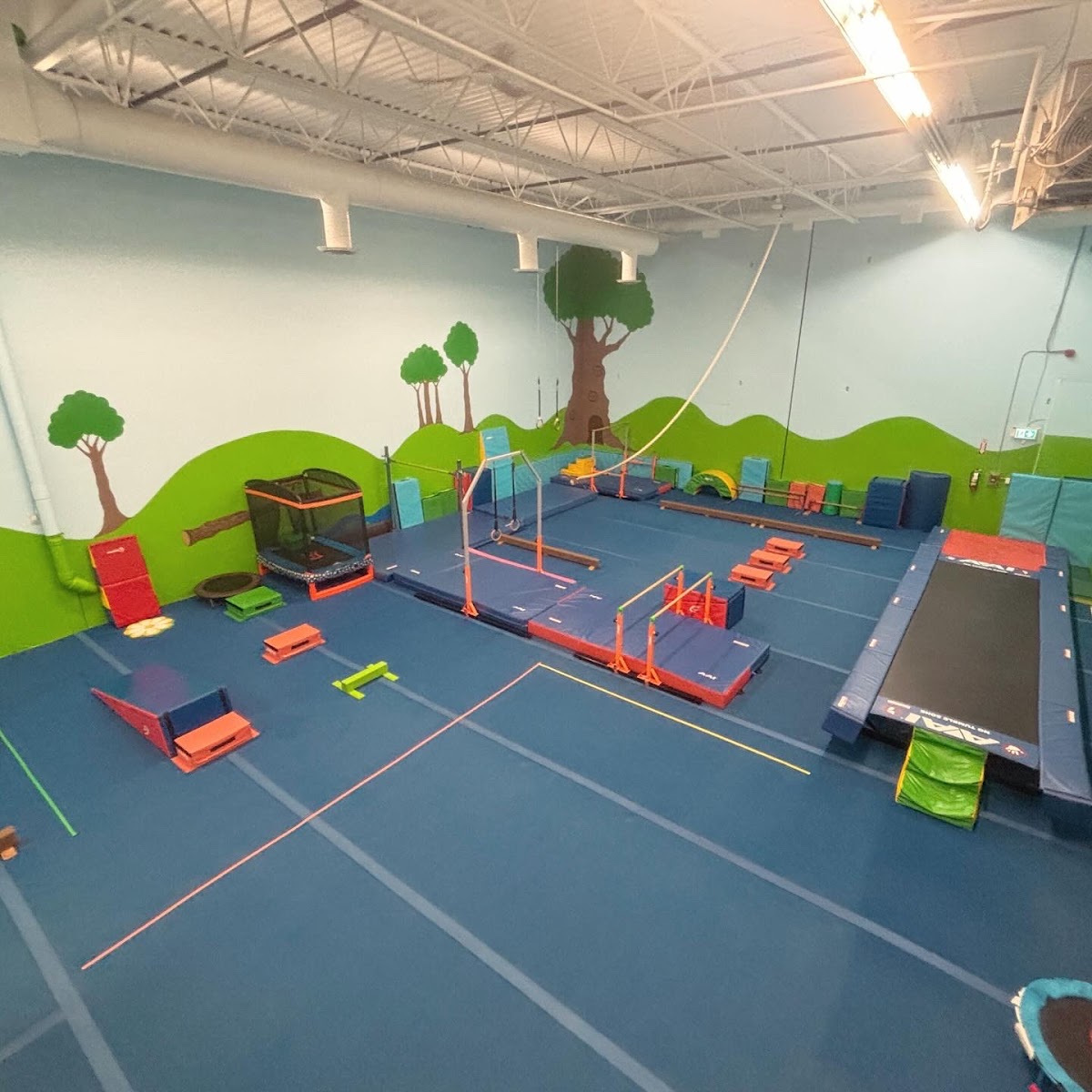 Haven Movement Centre
