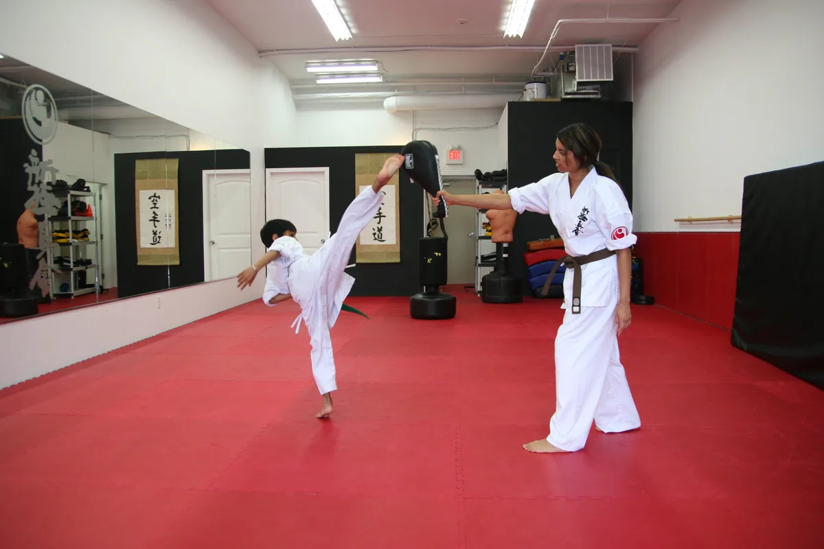 Seiken School of Martial Arts