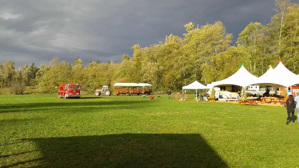 Hazelmere Pumpkin Patch @ Gabriel Farms Ltd.