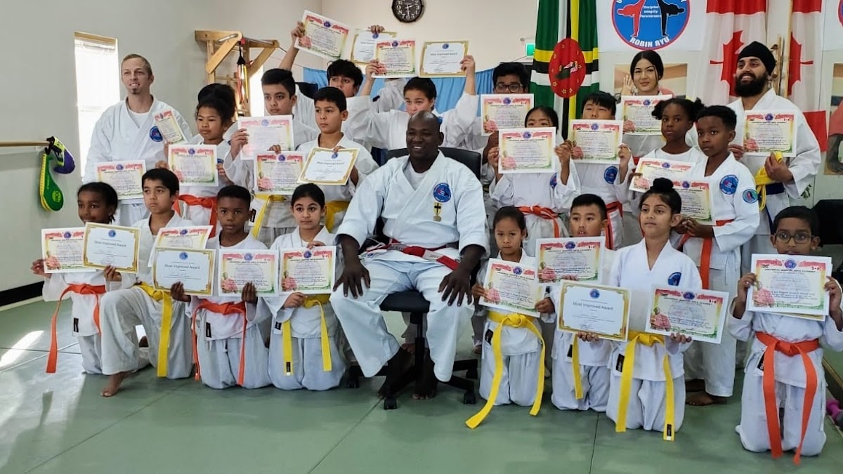 Universal Martial Art Robin Ryu