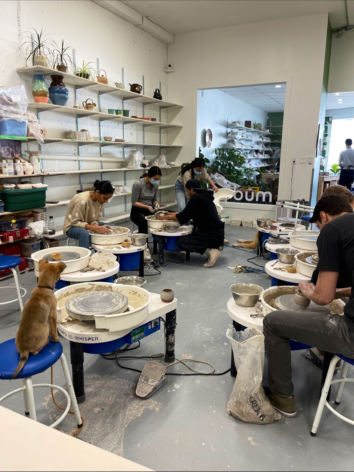 Mudlab Pottery