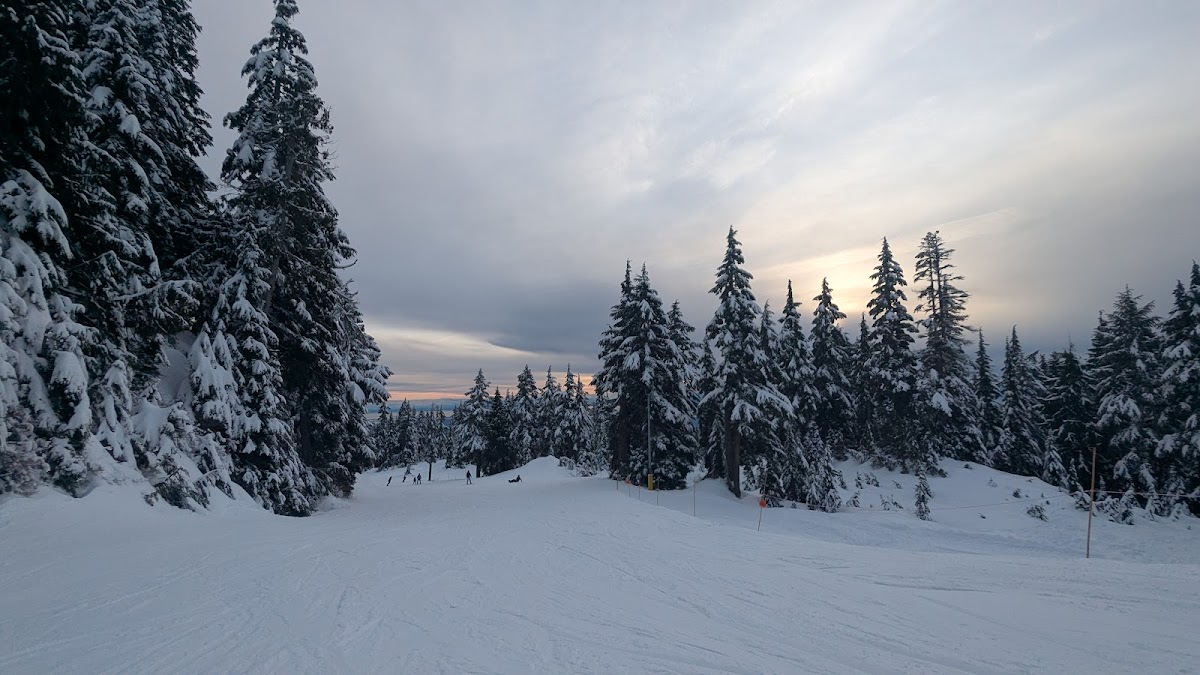 Mt Seymour - Alpine Activity Centre