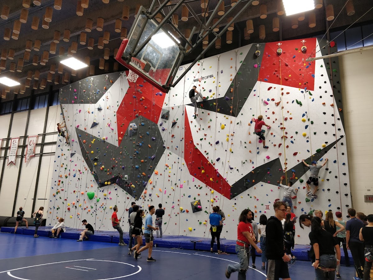 SFU Climbing Wall