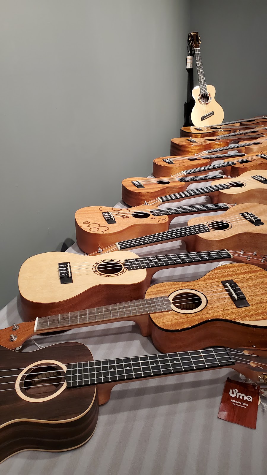 PlayPro Music - Ukuleles, Saxophones and more