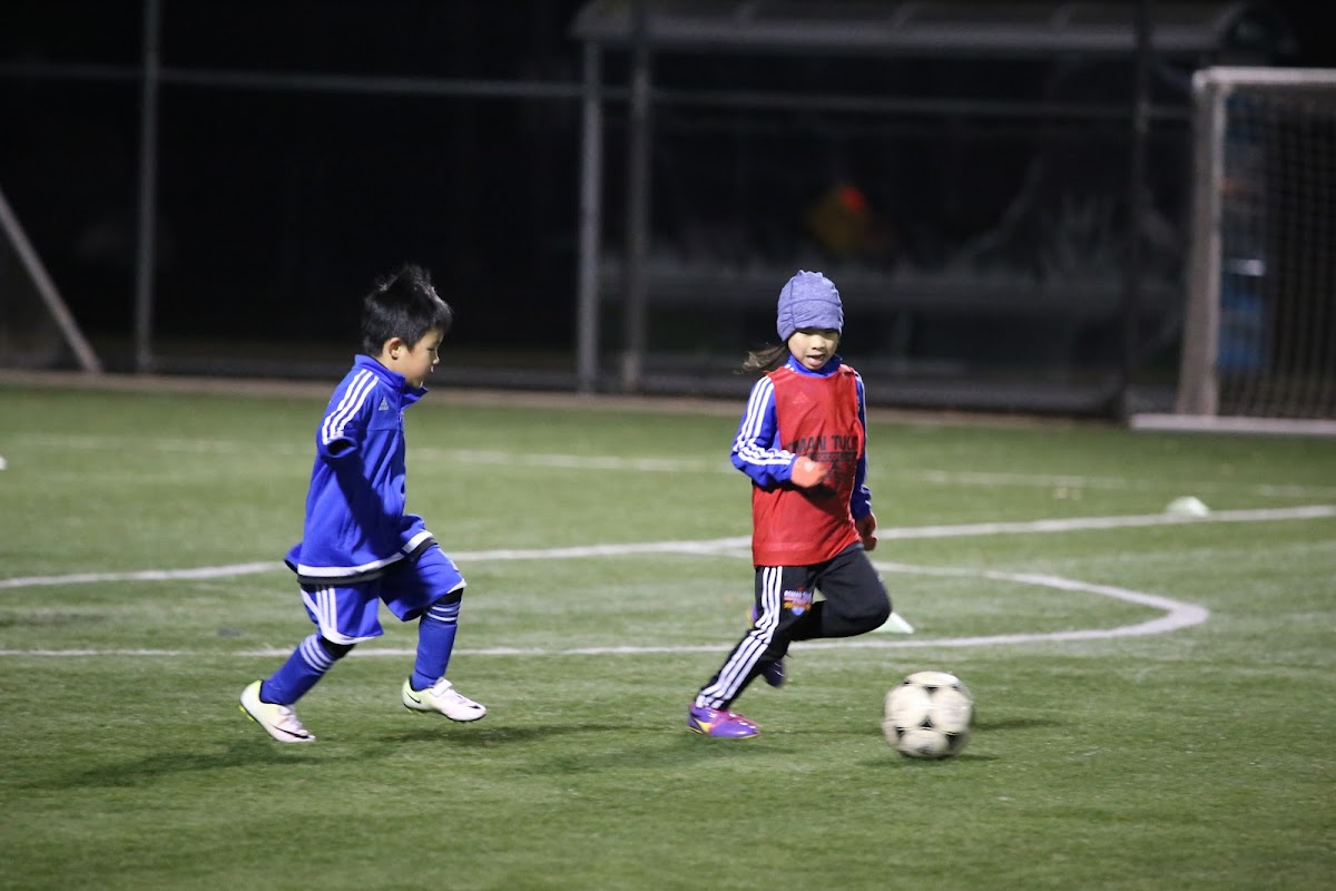 Roman Tulis European Soccer School