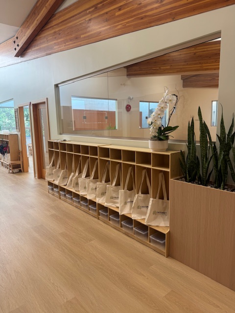 Child Connect Early Learning